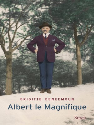 cover image of Albert le Magnifique